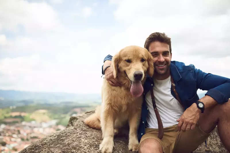 cute dog hiking