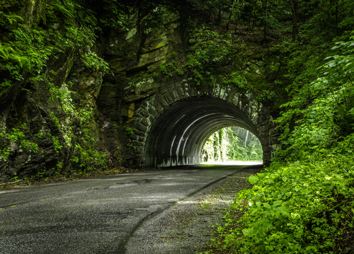 NEWFOUND GAP ROAD