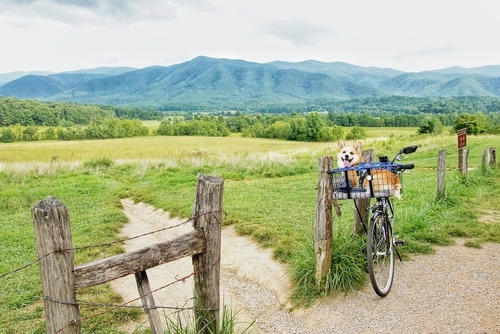 cades cove