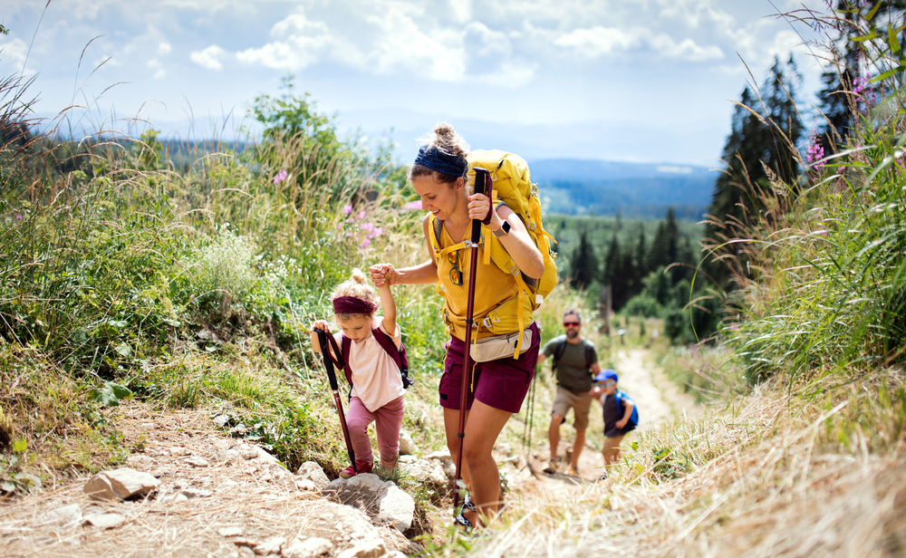 Family with small children hiking outdoors in summer nature