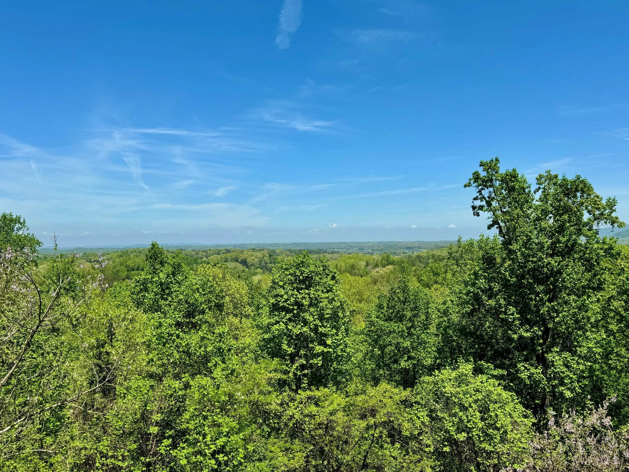 Panoramic View
