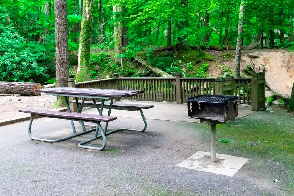 smoky mountain picnic areas