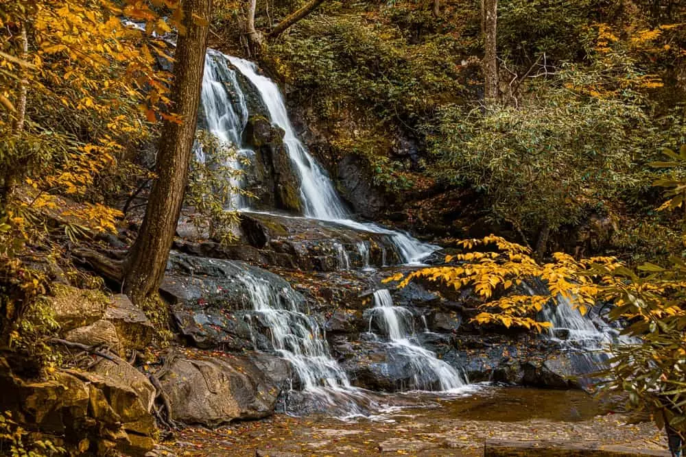 laurel falls in the smokies