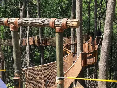 treetop skywalk