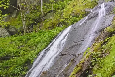 fern branch falls in the smoky mountains