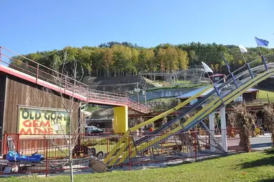 goats on the roof mountain coaster in pigeon forge