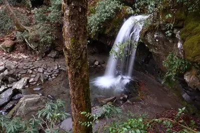 grotto falls in the great smoky mountains