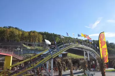 Goats on the Roof mountain coaster 