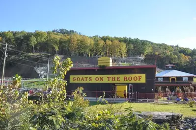 Goats on the Roof