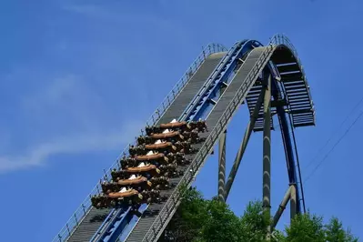 Wild Eagle at Dollywood 