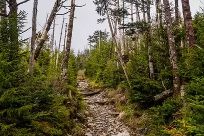 mount leconte hike