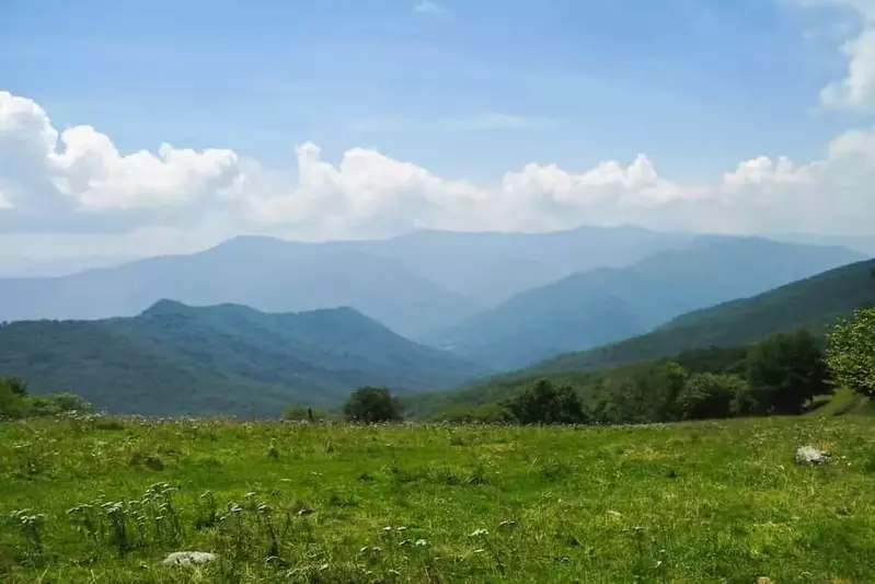 smoky mountains in the spring