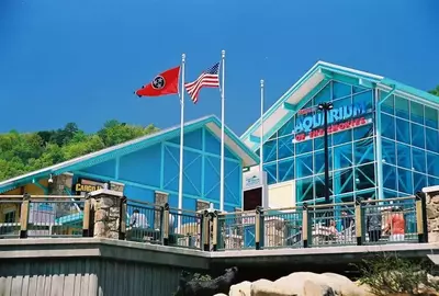 aquarium of the smokies in gatlinburg