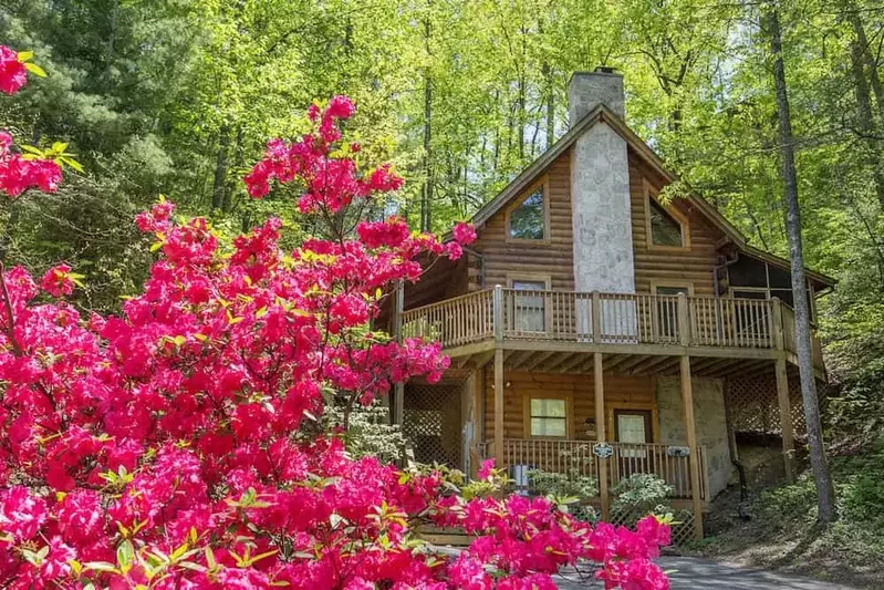 treasured times pigeon forge cabin