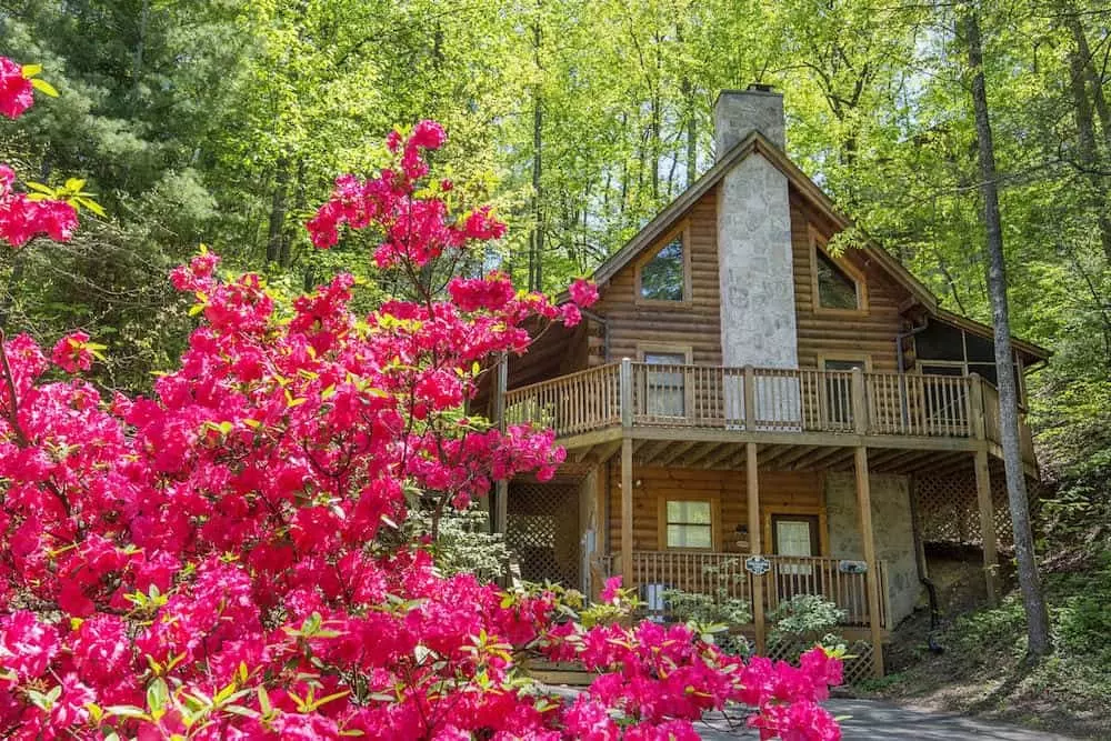 treasured times pigeon forge cabin