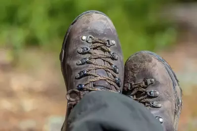 Hiking Boots