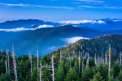 Breathtaking mountain views from Clingmans Dome.