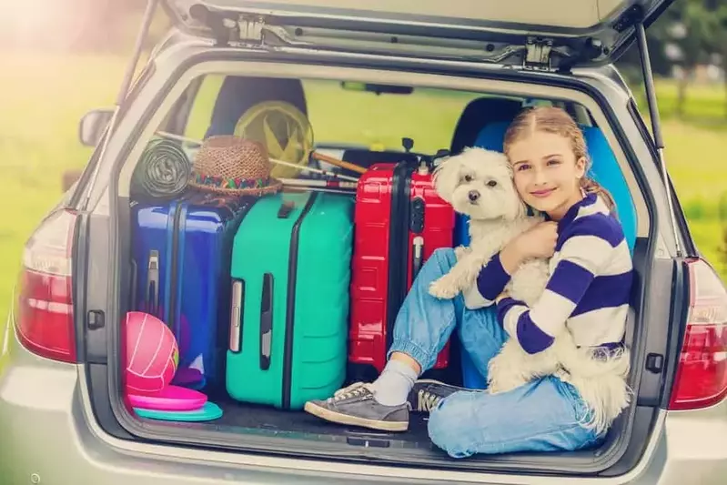 Girl and her dog in the back of a car on their way to one of our pet friendly cabins near Gatlinburg TN.