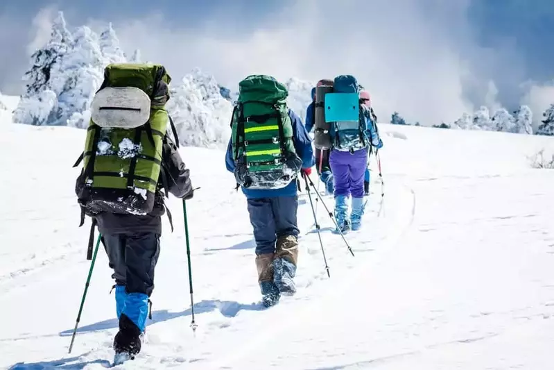 A group of people hiking in the Smoky Mountains during the winter.