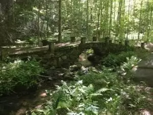 elkmont nature trail bridge