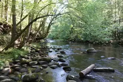 river along the gatlinburg trail