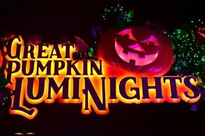 great pumpkin luminights sign