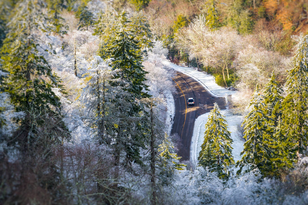 snow in the smokies