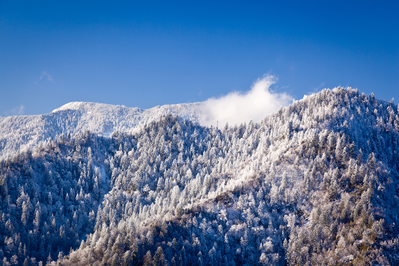 snow in the smoky mountains