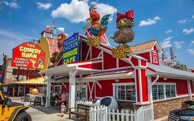 comedy barn and frizzle chicken