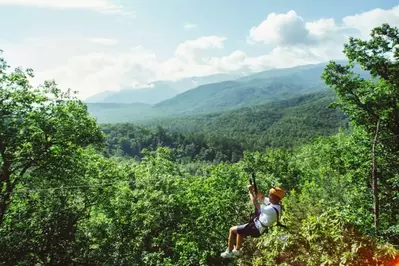 ziplines in pigeon forge tn