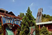 Wild Eagle is one of the top Dollywood roller coasters