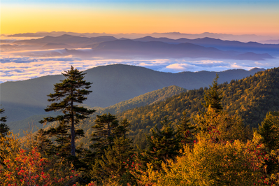 fall foliage in the smokies at kuwohi