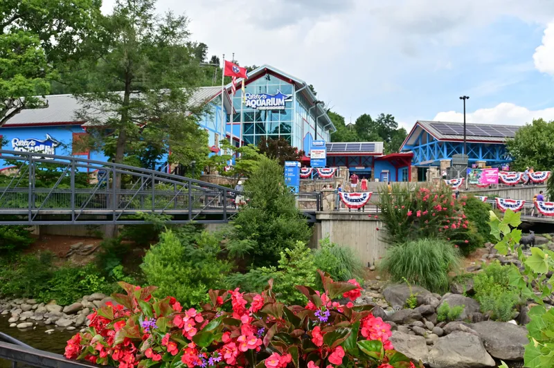 fun things to do in the smokies