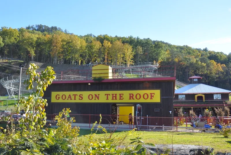 Goats on the Roof is one of the top hidden gems in Pigeon Forge