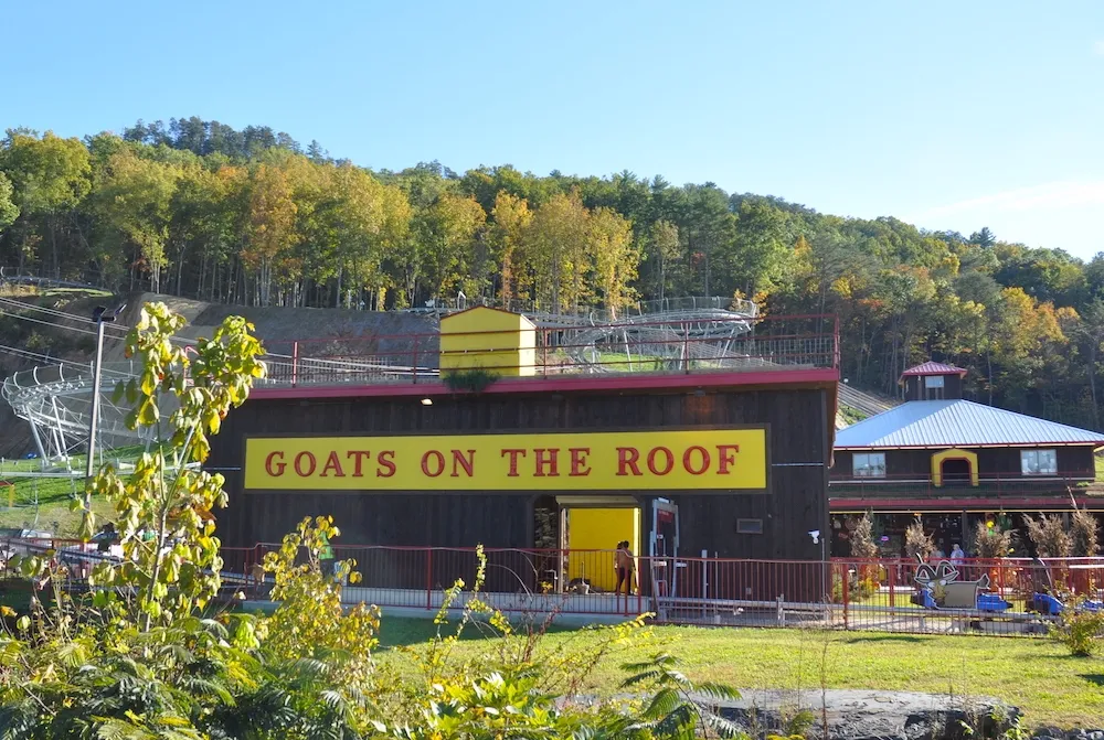 Goats on the Roof is one of the top hidden gems in Pigeon Forge