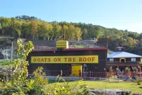 Goats on the Roof is one of the top hidden gems in Pigeon Forge