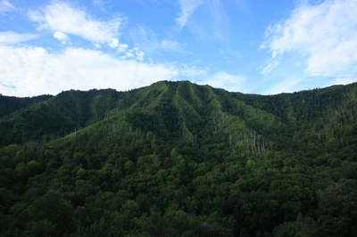 chimney tops overlook is one of the top Smoky Mountain overlooks