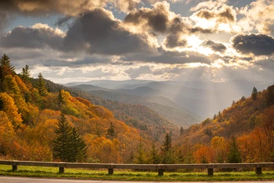 newfound gap road is one of the top fall scenic drives in the smokies