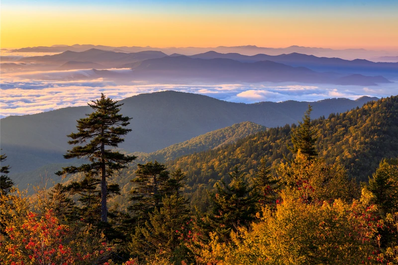 kuwohi is one of the top fall scenic drives in the smokies