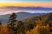 kuwohi is one of the top fall scenic drives in the smokies