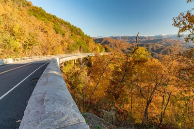foothills parkway is one of the top fall scenic drives in the smokies