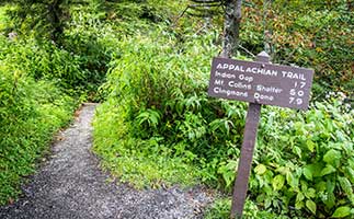 The Appalachian trail in the Smoky Mountains.