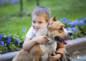 Boy hugging his dog near a pet friendly Pigeon Forge cabin