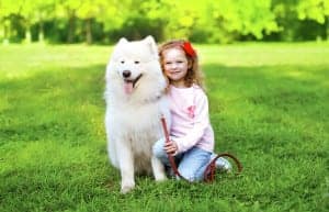 child and dog enjoying staying in pet friendly rentals Gatlinburg TN