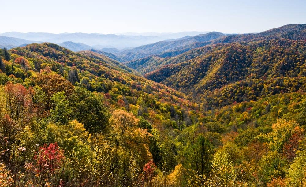 Fall colors in the Great Smoky Mountains.