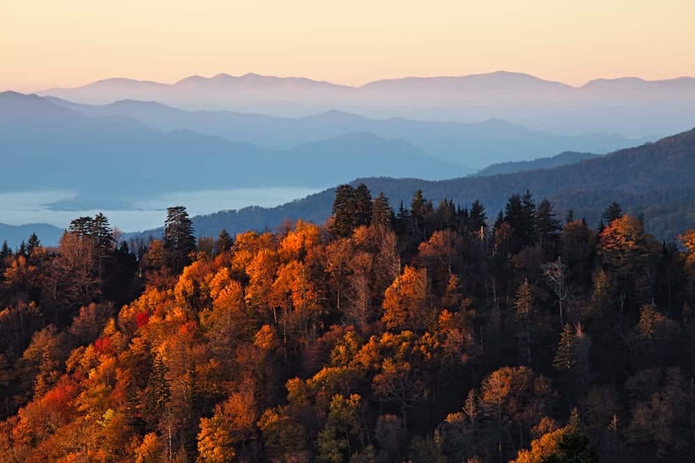Sunrise in the Great Smoky Mountains during the fall.