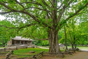 visitor center along the cades cove scenic loop