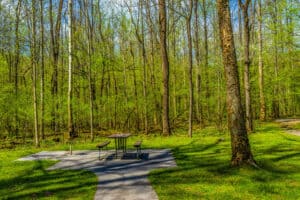 greenbrier picnic area in the smokies