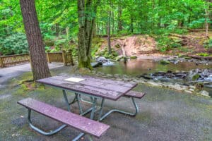 cades cove picnic area in the smoky mountains